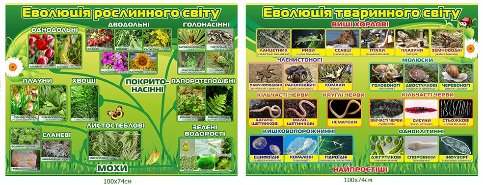 evolyutsiji-roslynnoho-ta-tvarynnoho-svitiv