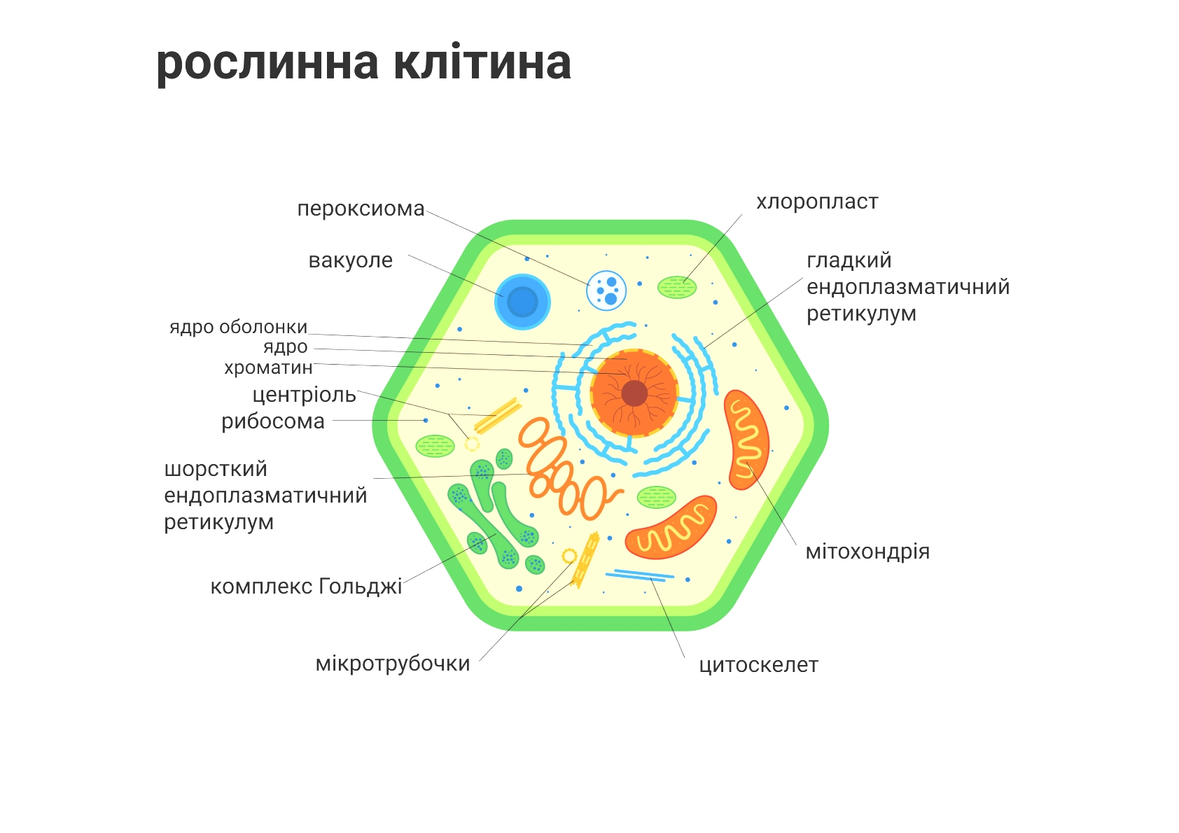 рослинна клітина
